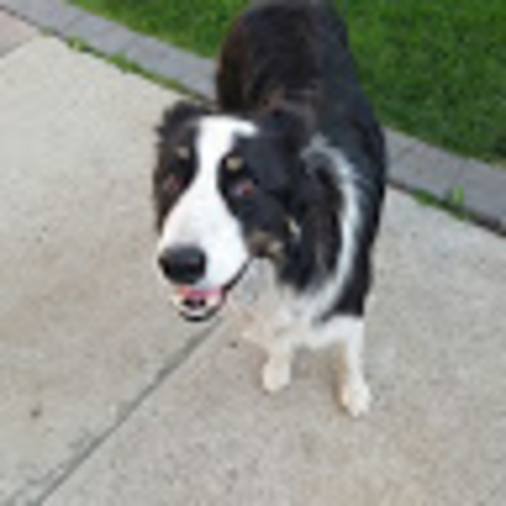 Meet your Posher, Deanna